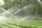 Falconerlandscaping-water-management-and-drainage-17.jpg; ?>